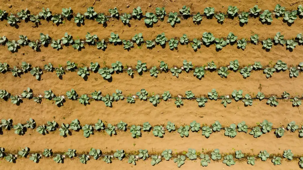 彩超设备智能分析功能对提升妇产科诊断效率的应用实践