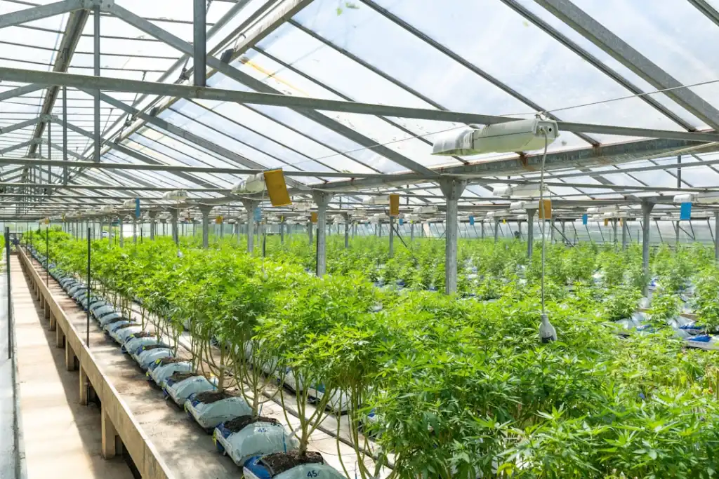 超声诊断仪图像分辨率提升的技术路径与临床应用分析